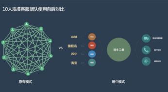 雙十一大促電商一站式售后解決方案軟件開發